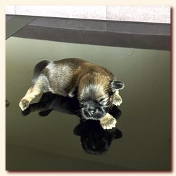 ����� ��-��� �������