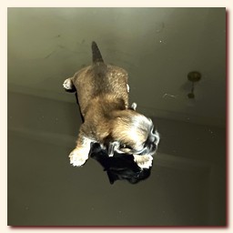 ����� ��-��� �������